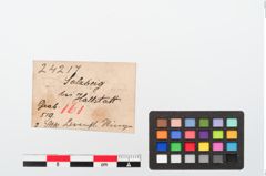 Etiketten zu Bernsteinring (NHMW-PRAE-024217)